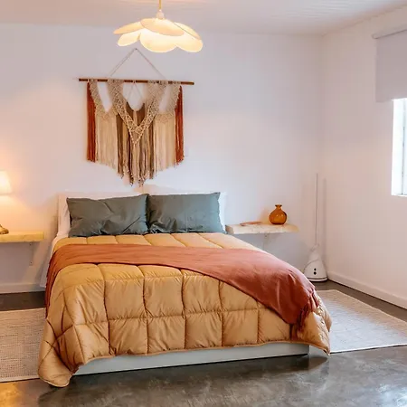 Alma-rio 2 By Mycelia 托马尔