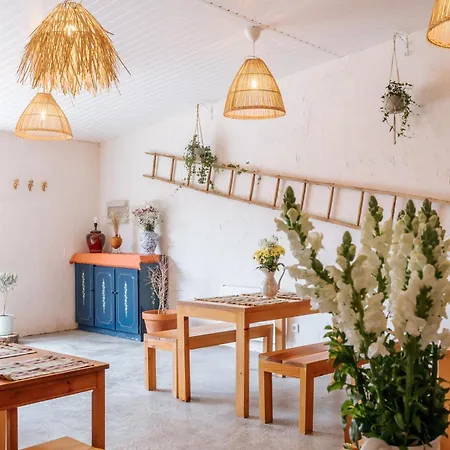 Alma-rio 2 By Mycelia 3* 托马尔