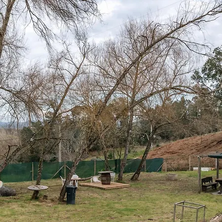 Alma-rio 2 By Mycelia