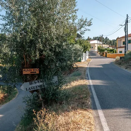 Alma-rio 2 By Mycelia Tomar