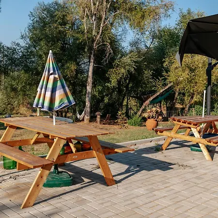 Alma-rio 2 By Mycelia 3* 托马尔