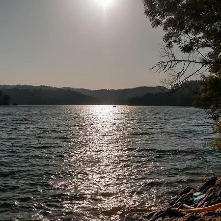 Alma-rio 2 By Mycelia Tomar