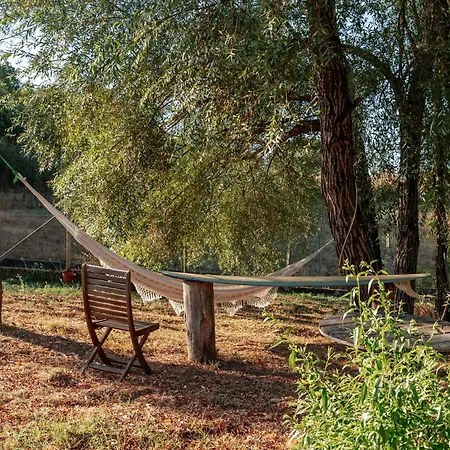 Alma-rio 2 By Mycelia 招待所 3*