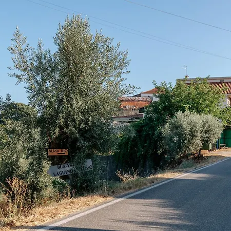 Alma-rio 2 By Mycelia 3* 托马尔