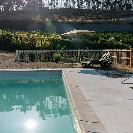 Alma-rio 2 By Mycelia