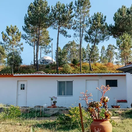 Alma-rio 2 By Mycelia