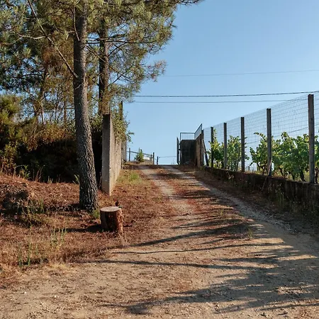 招待所 Alma-rio 2 By Mycelia 3*