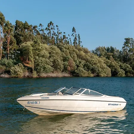 招待所 Alma-rio 2 By Mycelia 托马尔