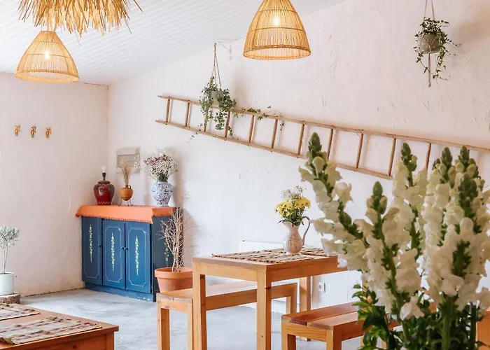 Alma-rio 2 By Mycelia 3* Tomar