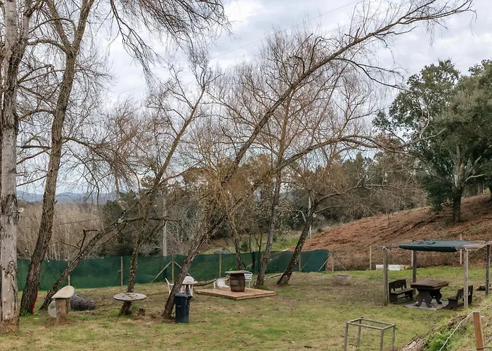 Alma-rio 2 By Mycelia