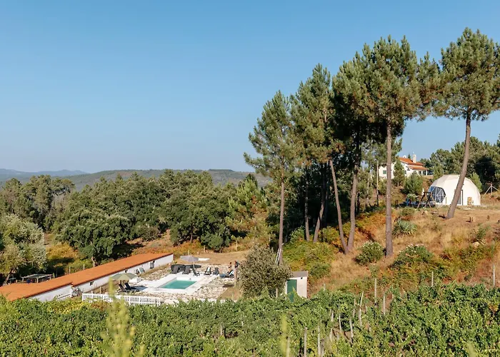 Casa de hóspedes Alma-rio 2 By Mycelia Tomar