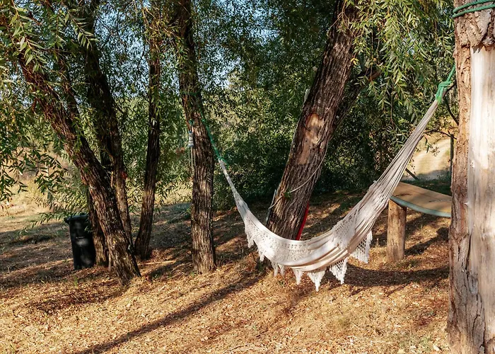 Alma-rio 2 By Mycelia