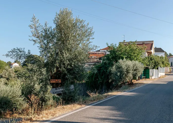 Alma-rio 2 By Mycelia 3* Tomar