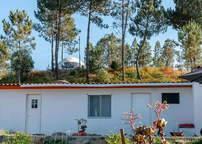 Alma-rio 2 By Mycelia