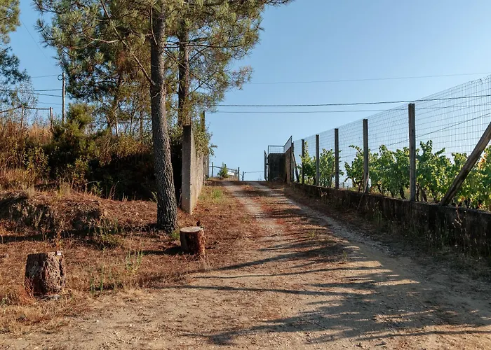 Casa de hóspedes Alma-rio 2 By Mycelia 3*